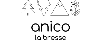 anico