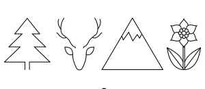 anico