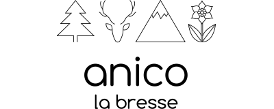 anico